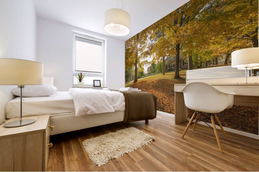 Autumn Glow Mural print