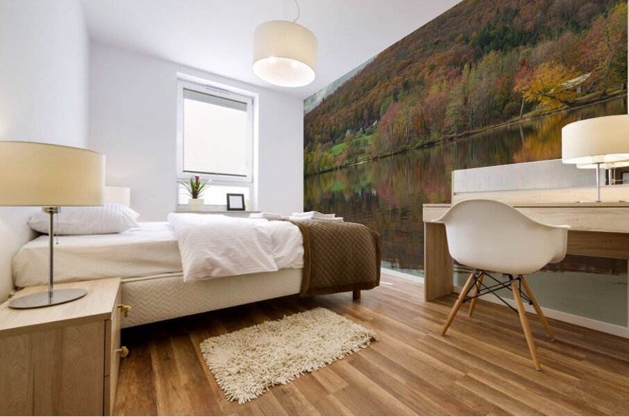 Pensioner Fall Reflections Mural print