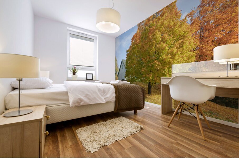Autumn Classic Maples Mural print