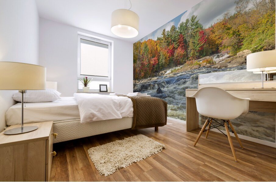 Autumn Mesmerizing Rapids Mural print