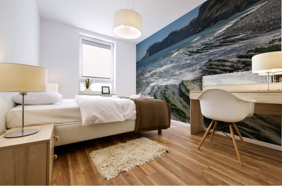 Forillon Rocky Scale Textures Mural print