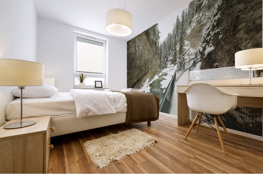 Johnston Canyon Winter Thaw Mural print