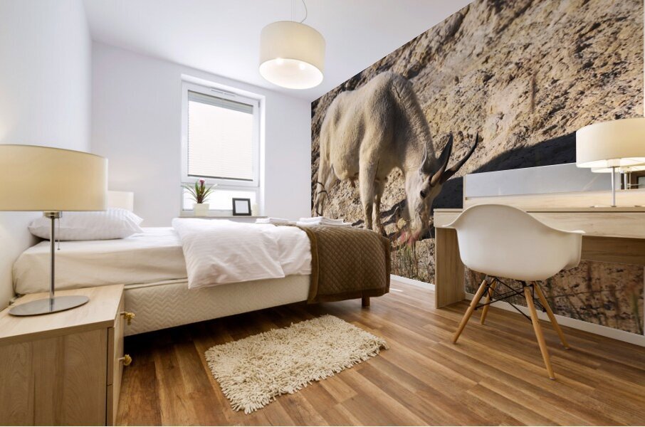 Jasper Mountain Goat Mural print