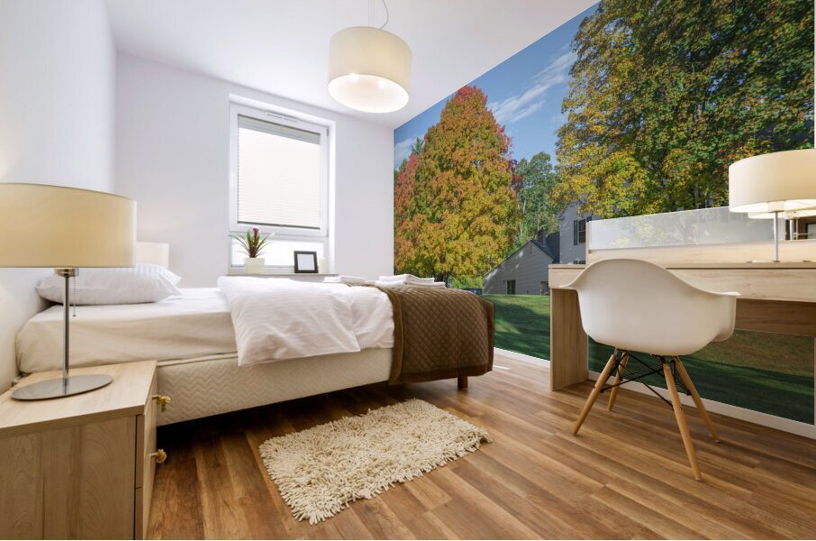 Autumn Maple Magic Mural print