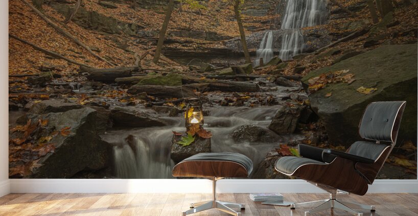 Autumn at Sherman Falls Wall Murals