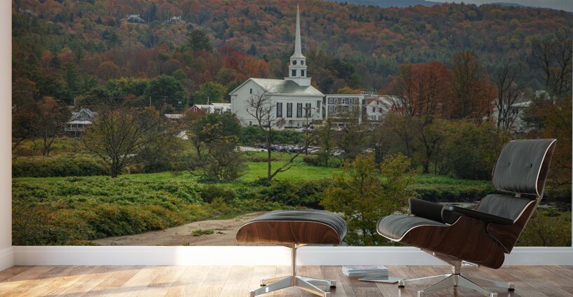 Autumn Stowe Classic Wall Murals