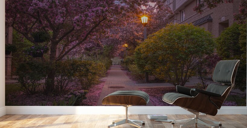 Crab apple blossom pathway Wall Murals