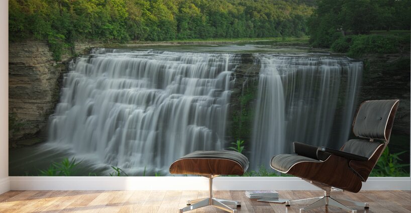 Letchworth Middle Falls Wall Murals