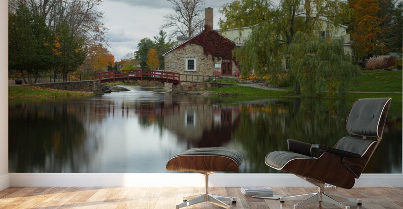 Stewart park Reflections Wall Murals