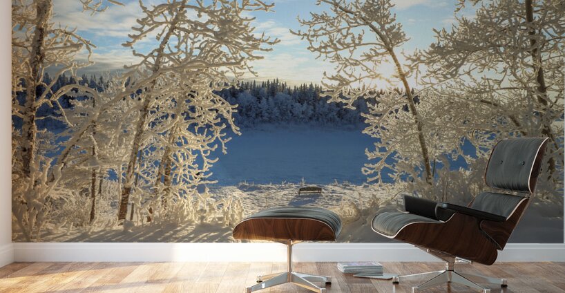 Winter Magic Wall Murals