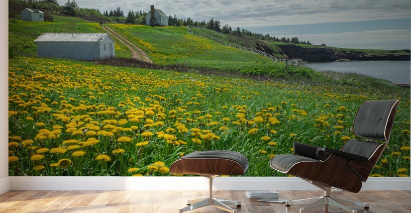 Bonaventure Dandelion Carpet Wall Murals