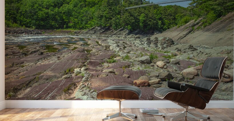 Chaudiere Falls Suspension Bridge Wall Murals