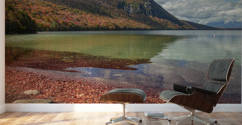 Lake Willoughby Autumn Reflections Wall Murals
