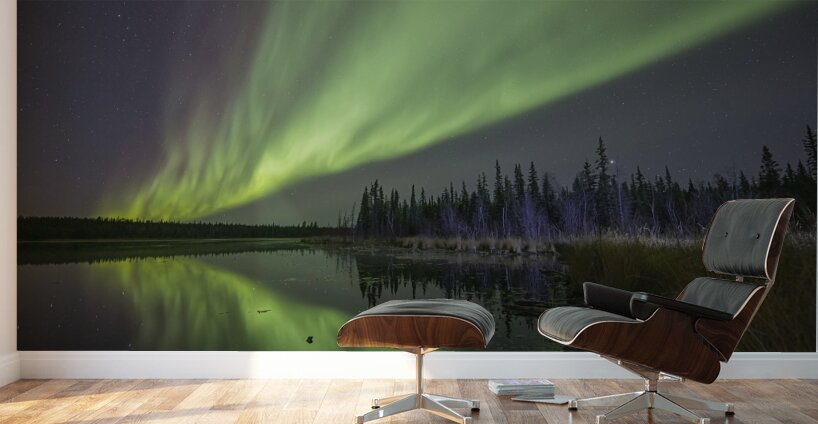 Aurora Pond Dance Wall Murals