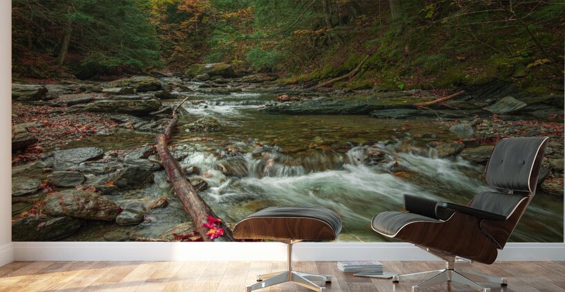Autumn Forest Stream Wall Murals