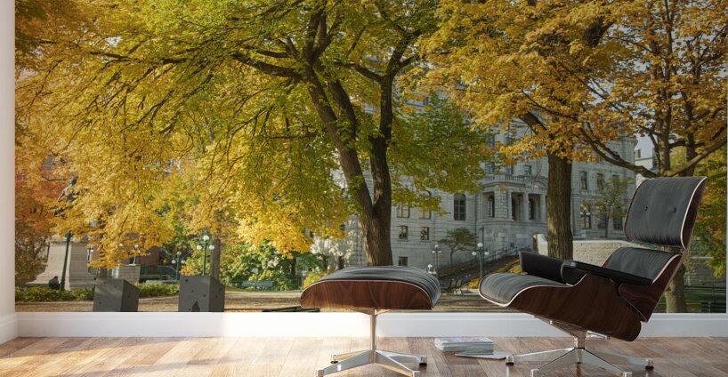 Autumn Splash in Quebec City Wall Murals