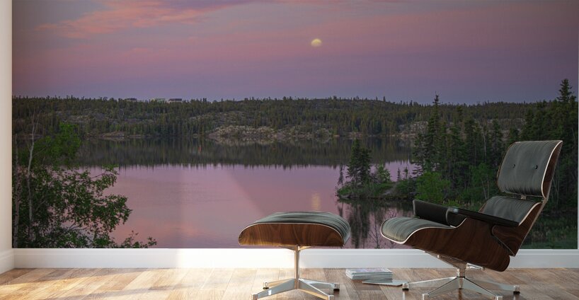 Cotton Candy skies at Jackfish Lake Wall Murals