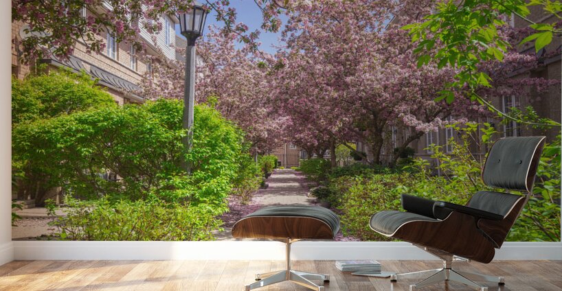 Dreamy Spring Path Wall Murals