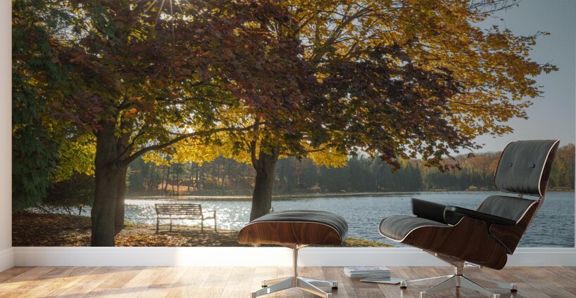 Eugenia Lake sunburst Wall Murals