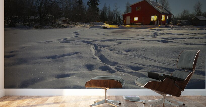 House boat Winter Sparkle Wall Murals