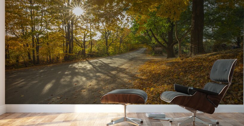 Howells Autumn Road Wall Murals