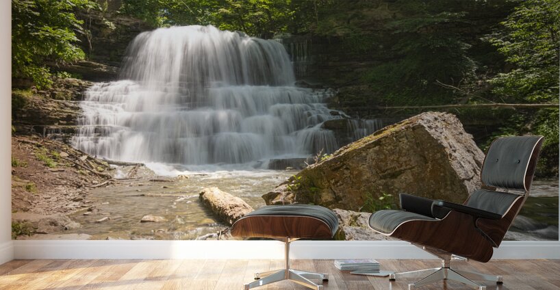 Lower Decew Falls Wall Murals