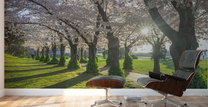 Morning Spring Freshness Wall Murals