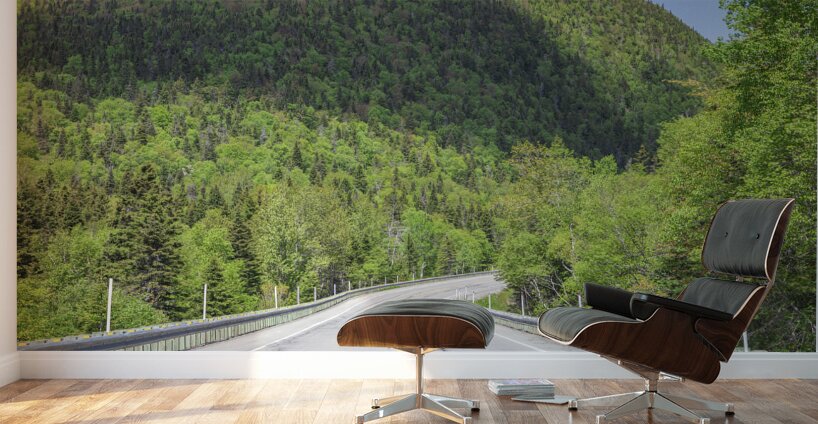 Mountain Road in Forillon National park Wall Murals