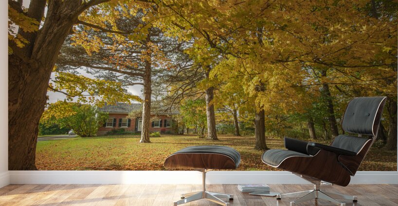 Rural Niagara Autumn Residence Wall Murals