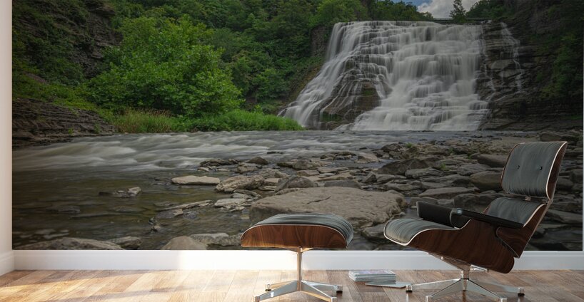 Summer at Ithaca Falls Wall Murals