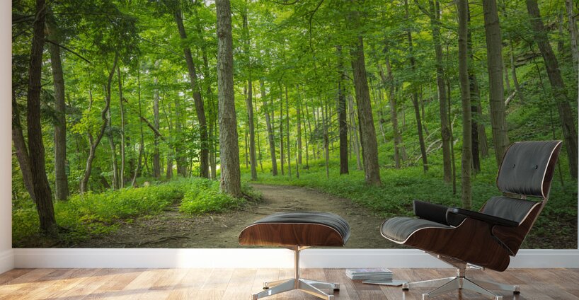 Summer fresh forest glow Wall Murals