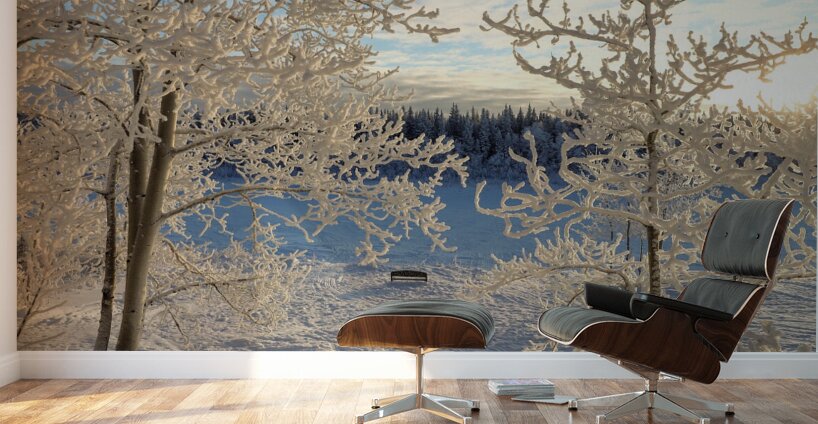 Winter wonderland frost Wall Murals