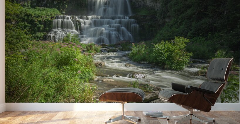 Summer at Chittenango Falls Wall Murals