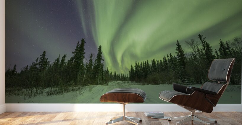 Light up the path Wall Murals