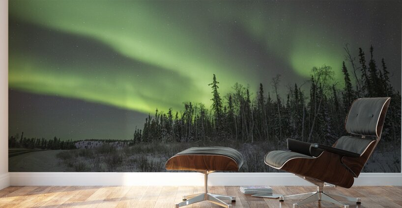 Ingraham Aurora Ribbons Wall Murals