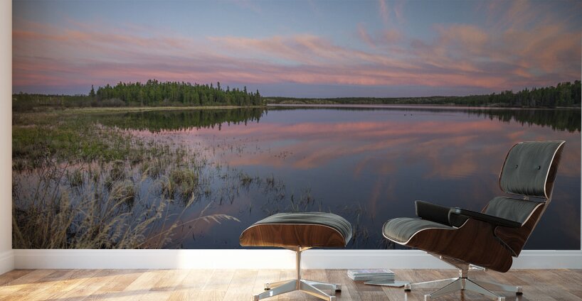 Jackfish Lake cotton candy Reflections Wall Murals
