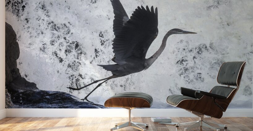 Blue Heron flight Takeoff Wall Murals