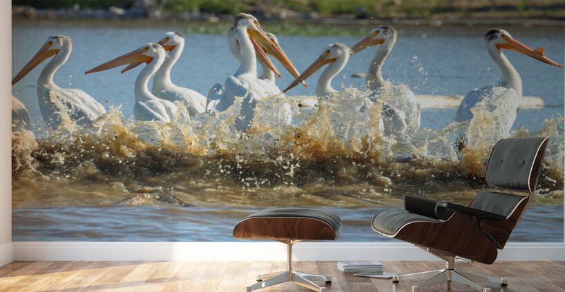 Pelicans in the Waves Wall Murals