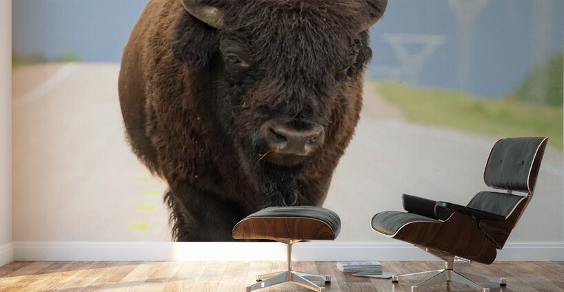 Big Boss of the Road   Wood Bison Wall Murals