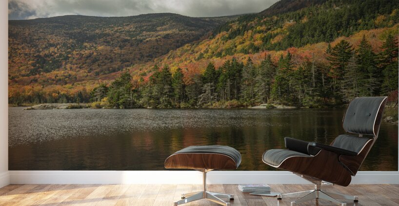Kinsman Notch Beaver Pond Reflections Wall Murals