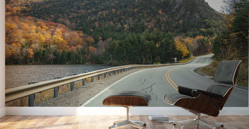 Dixville Autumn Scenic Road Wall Murals