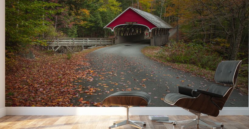 Magical Autumn Path to Bridge Wall Murals