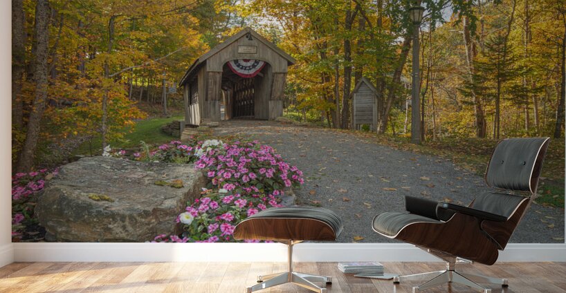 Autumn walk to Tannery Hill Bridge Wall Murals