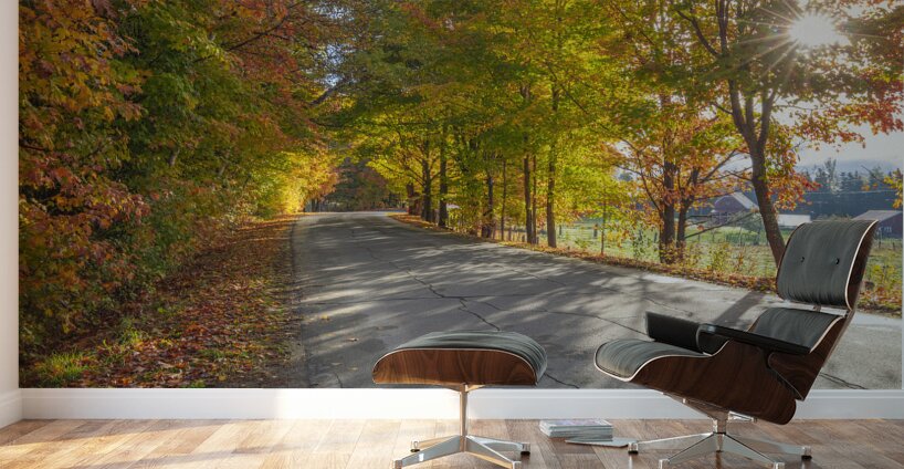 Autumn Road Morning Glow Wall Murals