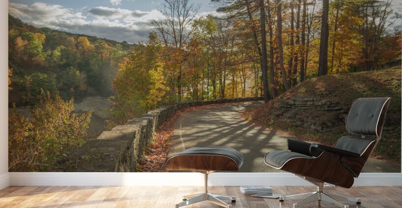 Letchworth Autumn Road Evening Glow Wall Murals