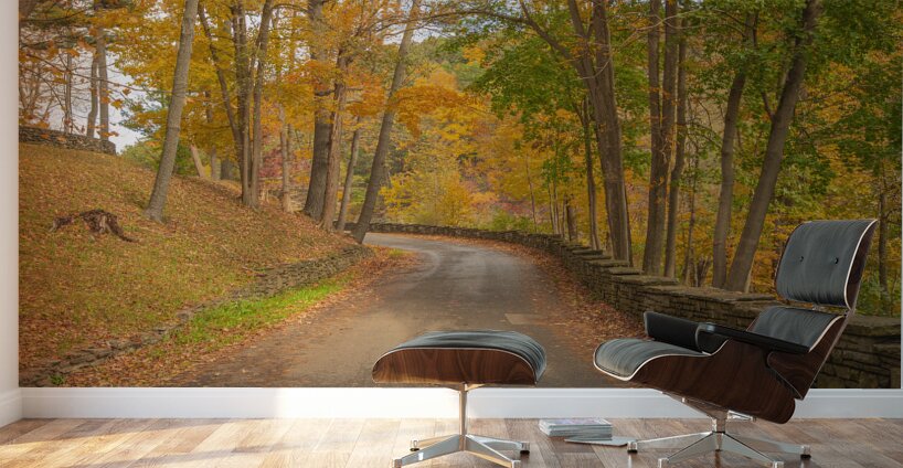 Letchworth Autumn Road to Paradise Wall Murals