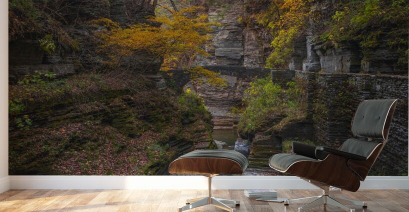 Autumn Gorge Paradise Wall Murals
