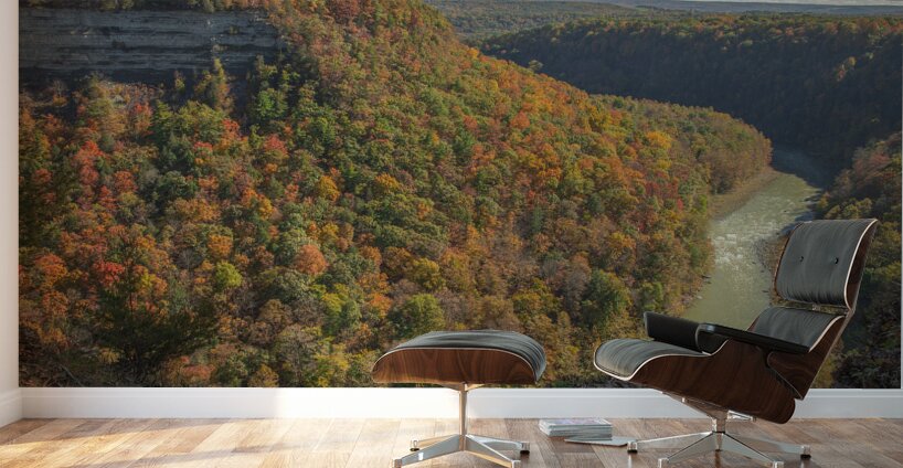Archery Field Overlook in Autumn Glory Wall Murals
