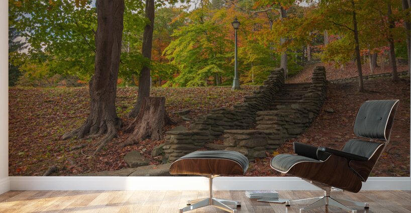 Letchworth Old Stone Walkway Wall Murals