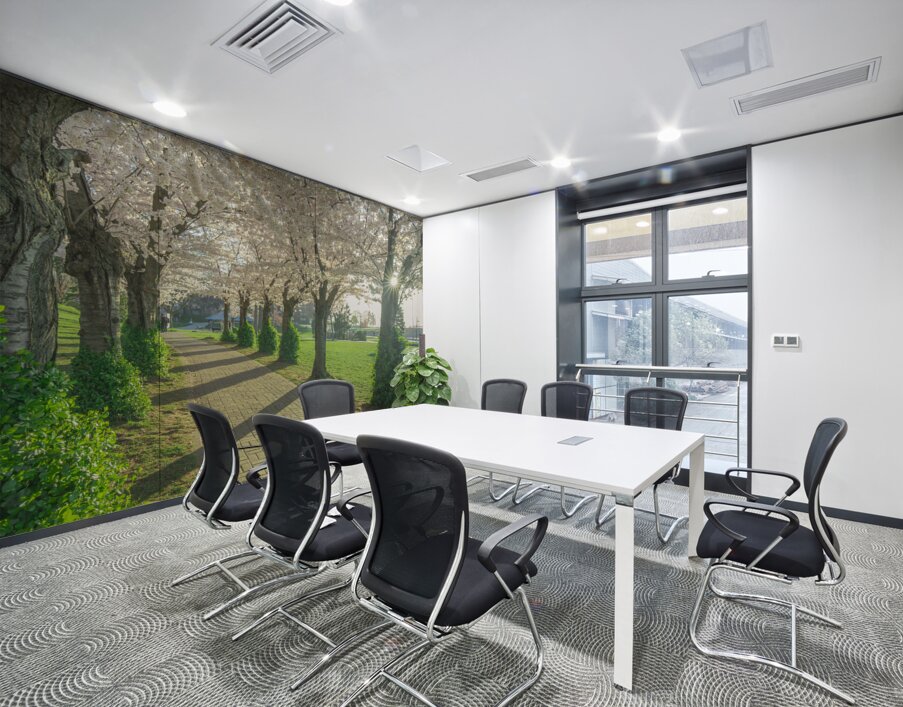 Cherry Blossom Pathway Wall Printing